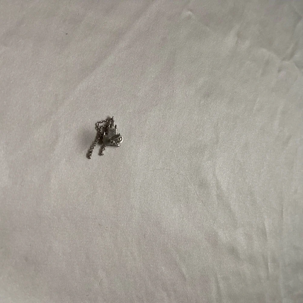 Pupil hall not so secret - Picture 4 of 10